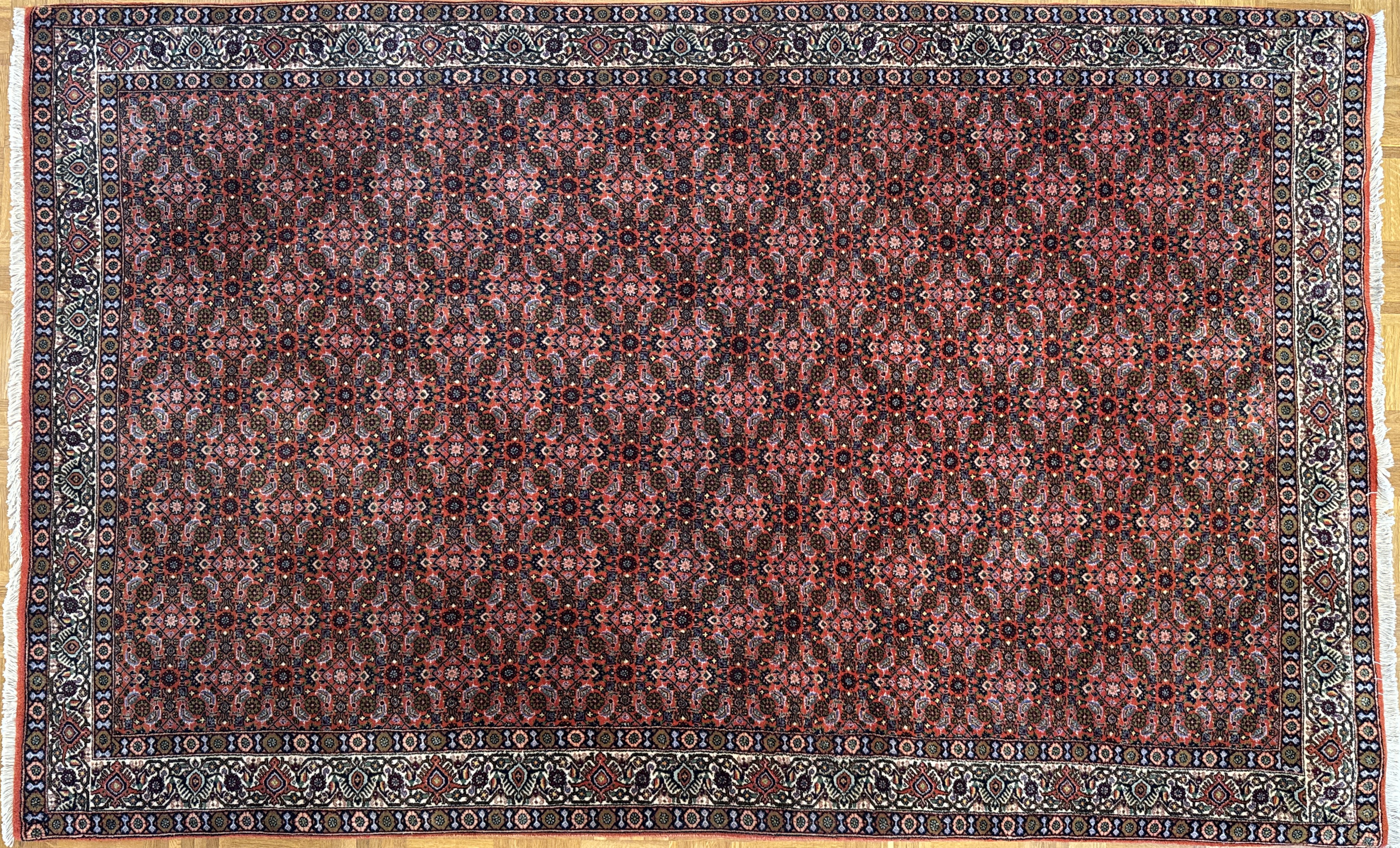 Bidjar 253 x 154