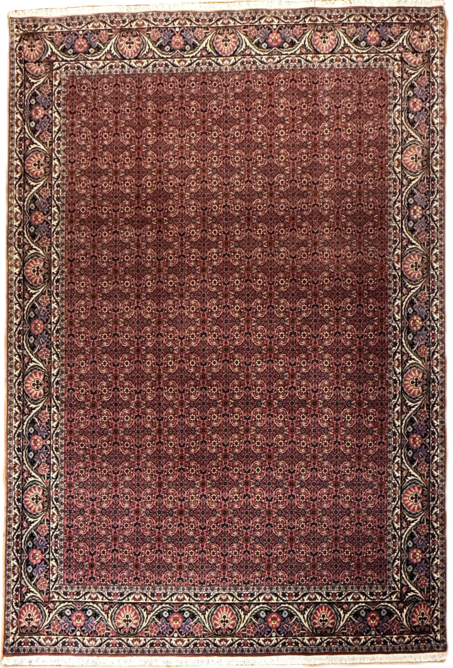 Bidjar *neu*  300 x 207 