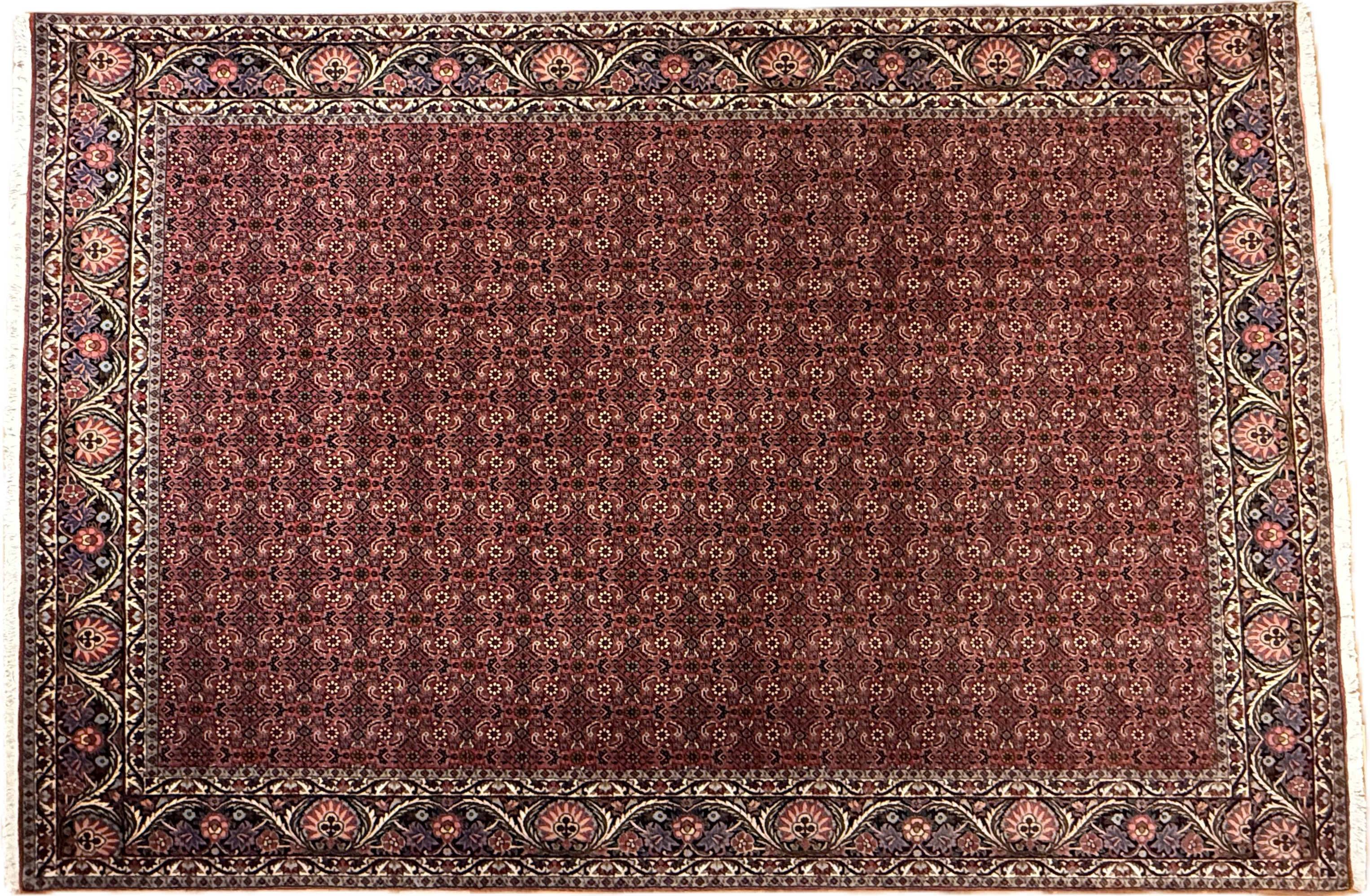 Bidjar *neu*  300 x 207 