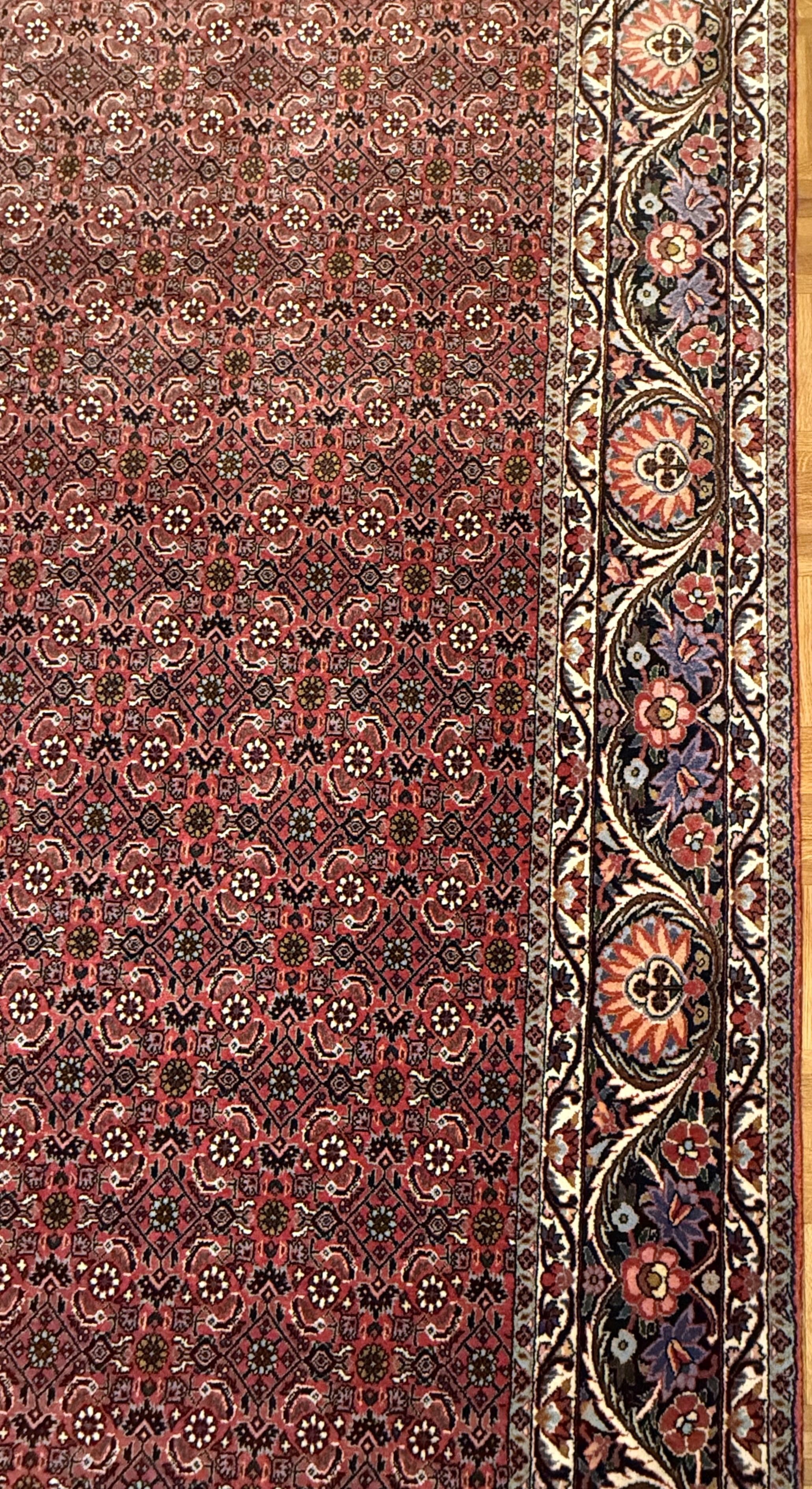 Bidjar *neu*  300 x 207 