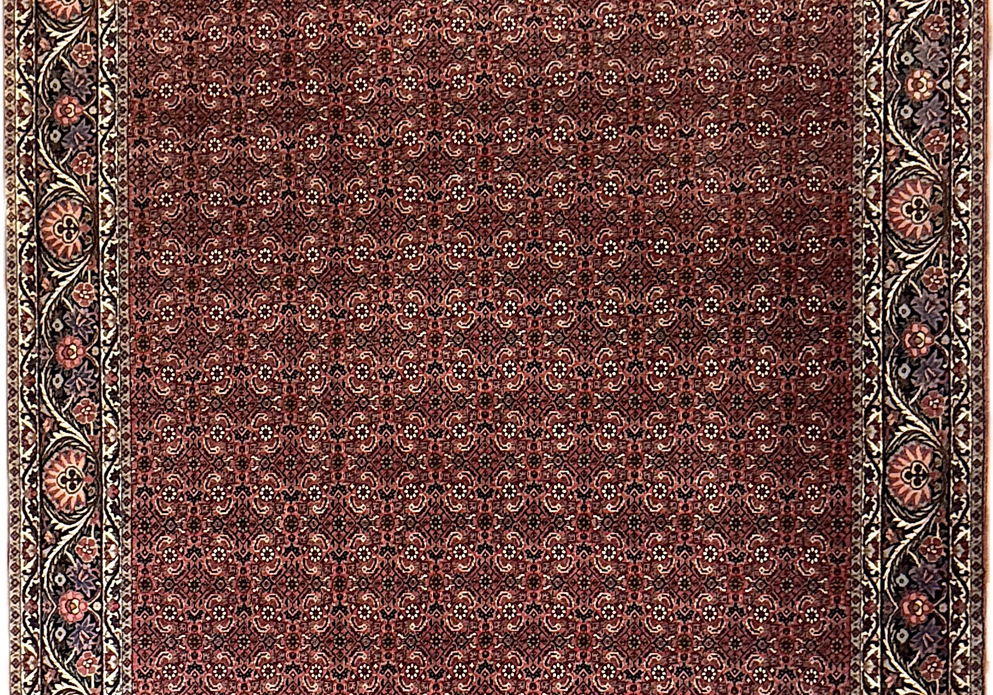 Bidjar *neu*  300 x 207 