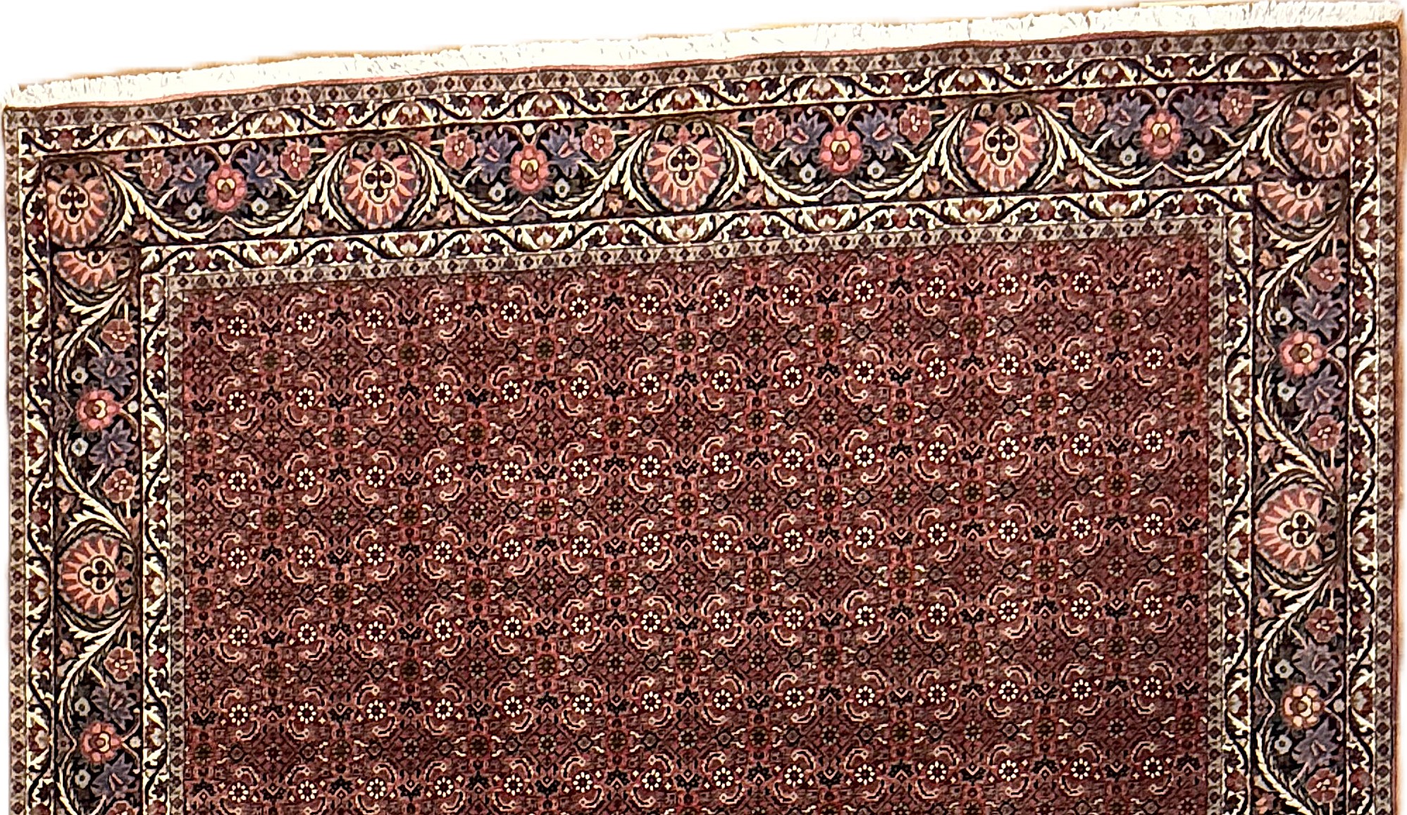 Bidjar *neu*  300 x 207 