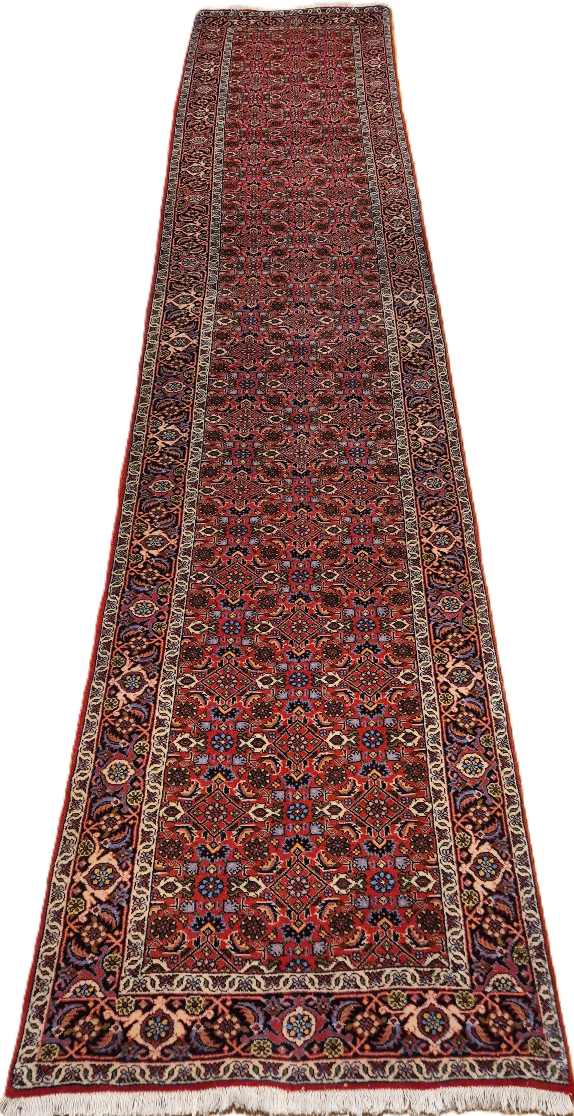 Bidjar *neu* 390 x 80