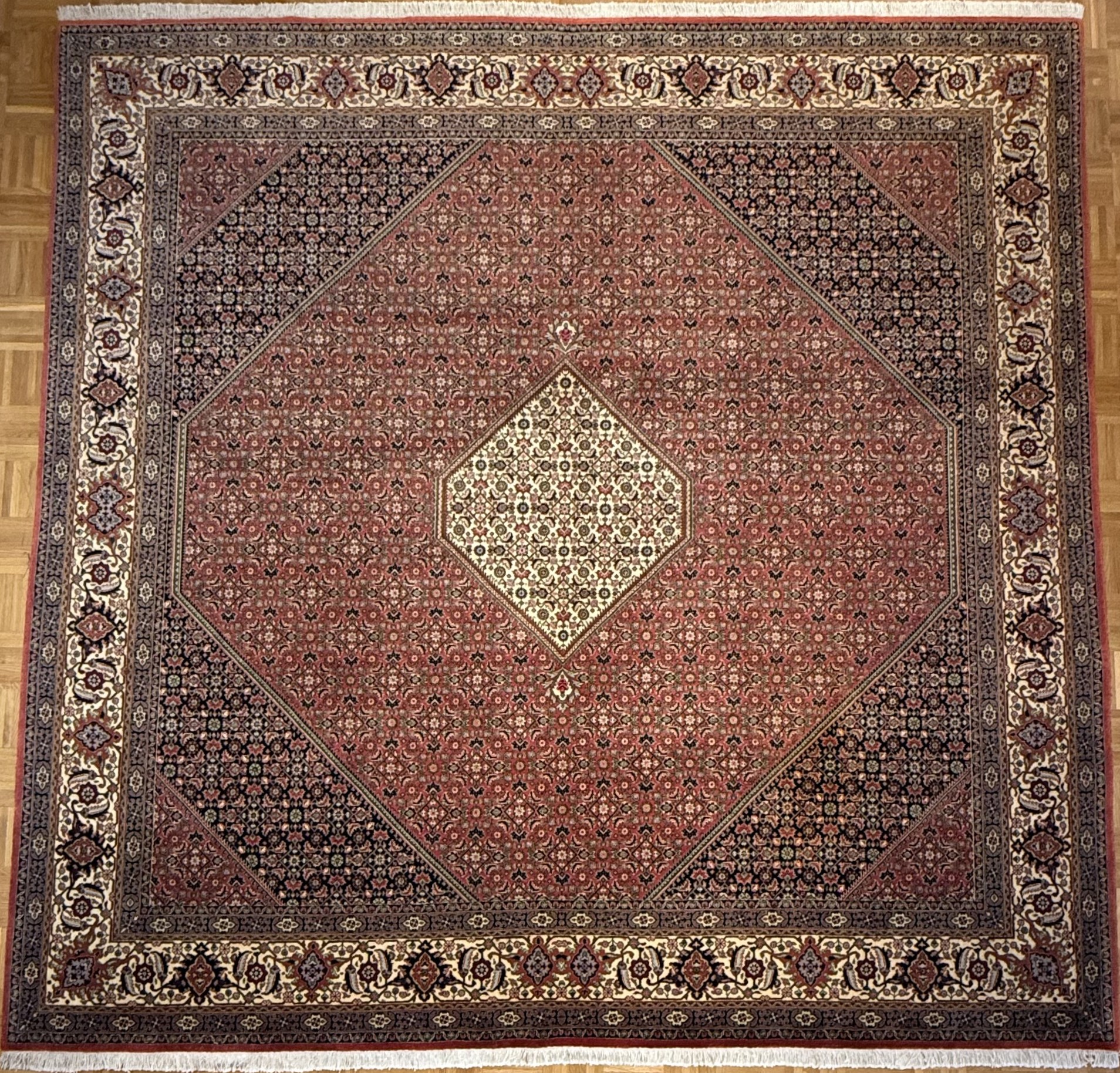 Bidjar *neu* 300 x 300