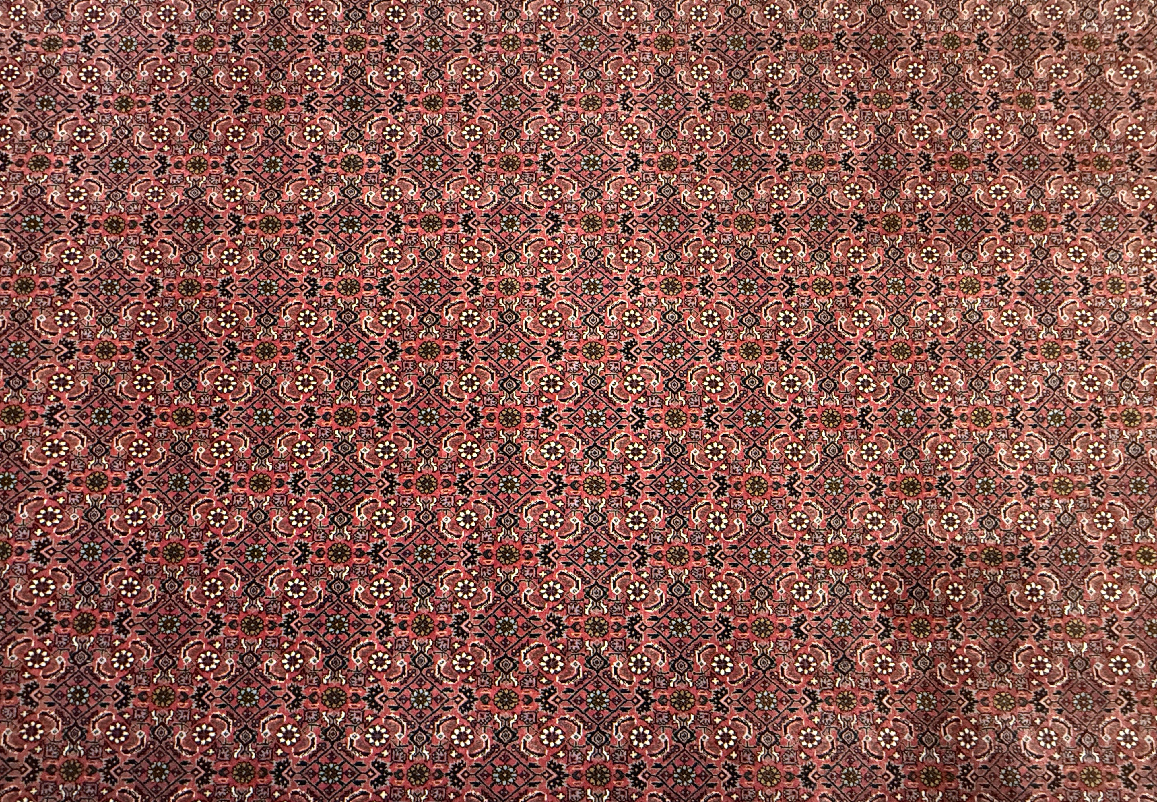 Bidjar *neu*  300 x 207 