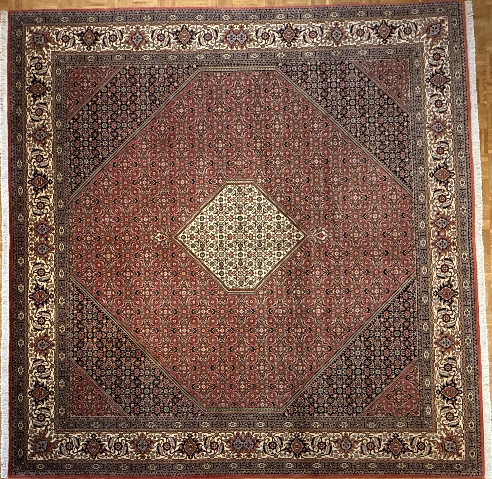 Bidjar *neu* 300 x 300