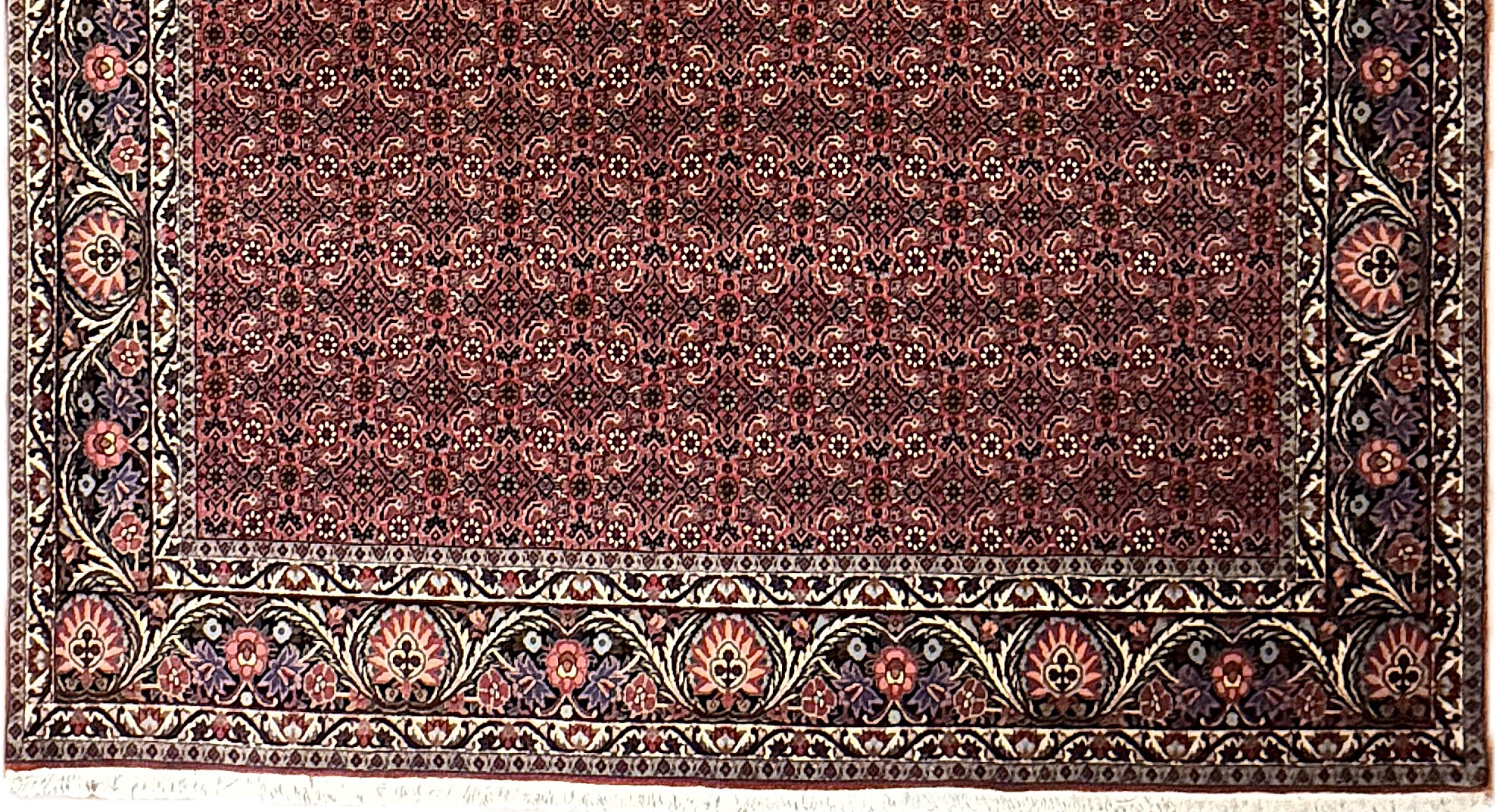 Bidjar *neu*  300 x 207 